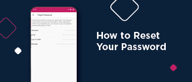 How to reset your password video